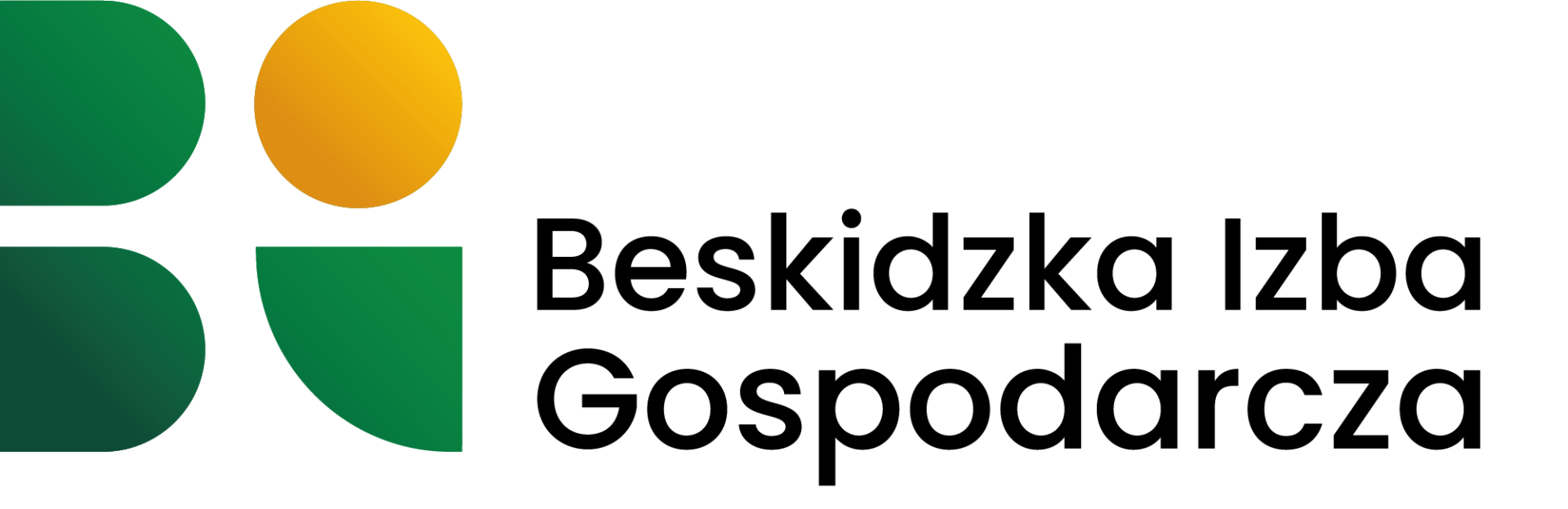 Logo BIG